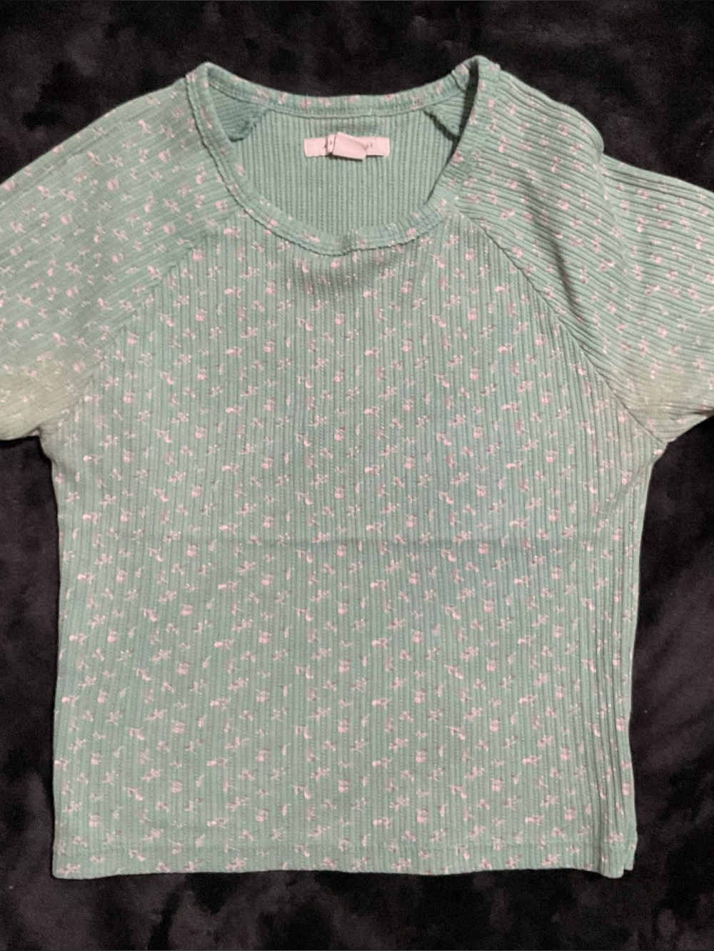 American Eagle Outfitters Mint Green Ribbed Floral Tee